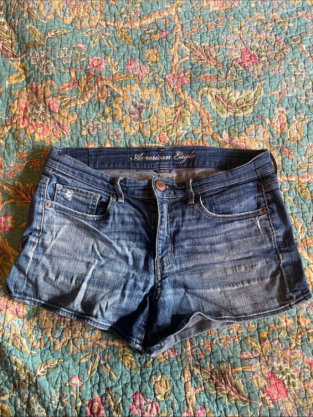 2011 American Eagle Outfitters  Blue Distressed Denim Shorts